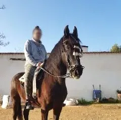 Rieke, 31
